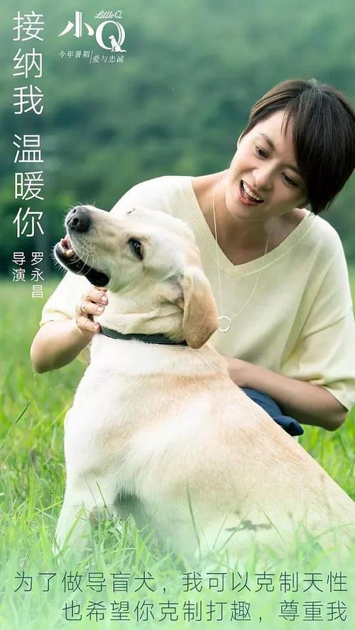 做假台湾南台科技大学毕业证